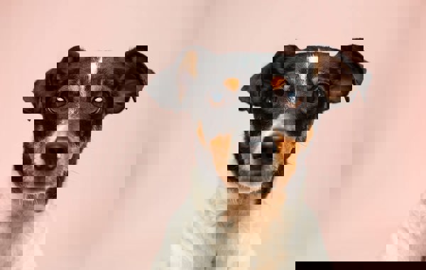 Victor Grabarczyk N04fifhhv K Unsplash